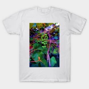 Hanging on the Vine T-Shirt